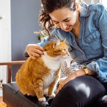 A cat and its owner sitting on a couch