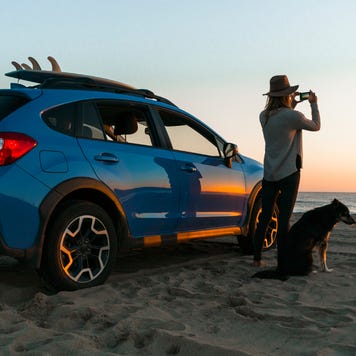 Person looking at sunset on beach with car and dog