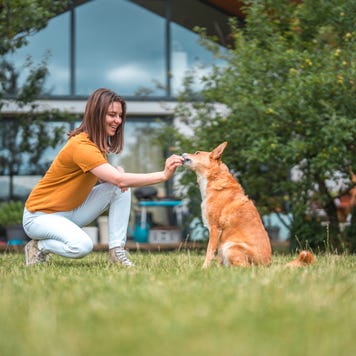 Woman training dog to sit