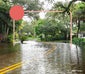 flooded road in florida
