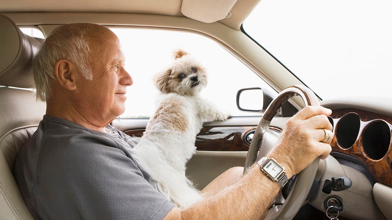 man driving a car with a dog on his lap