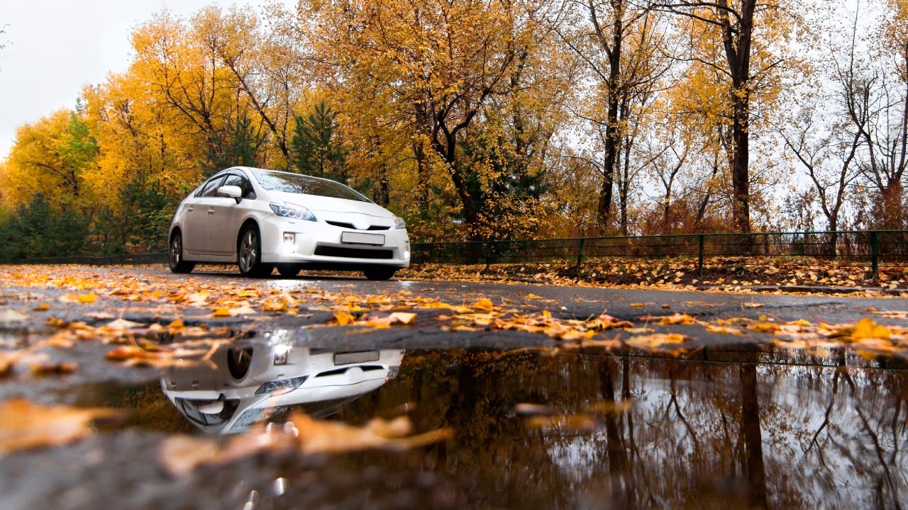 Toyota Prius on autumn road in rainy day