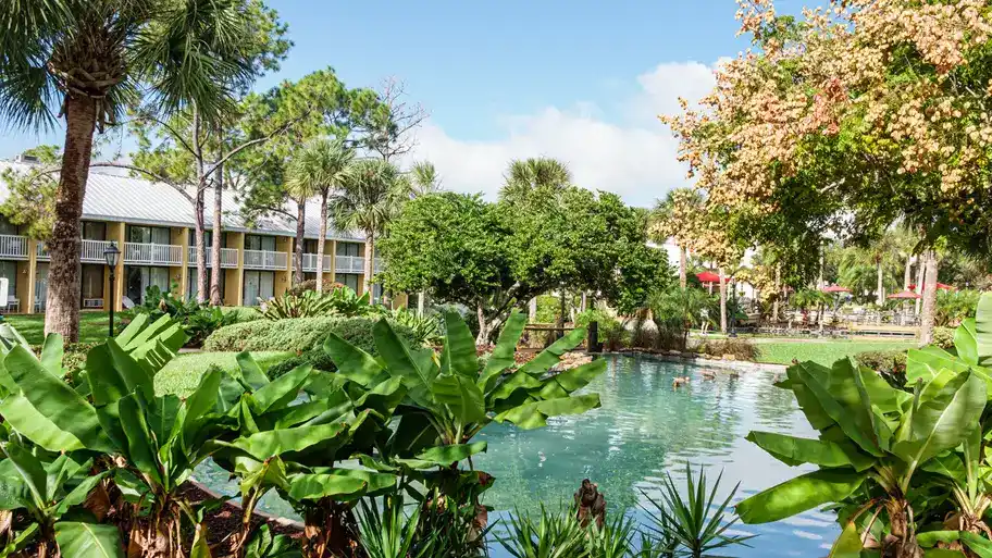 hotel grounds of the Wyndham Orlando Resort International Drive